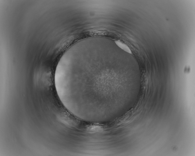 X0000090700224200708101449