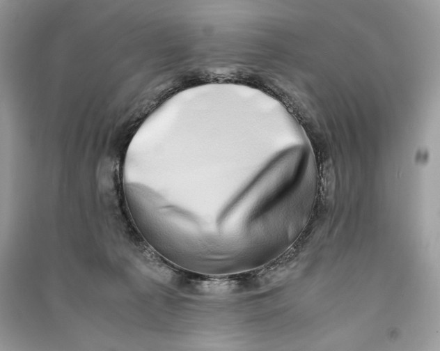 X0000090700225200708101449