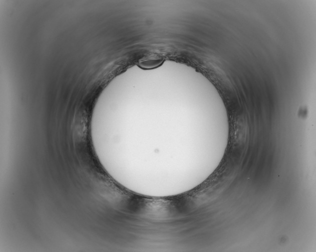 X0000090700226200708101449