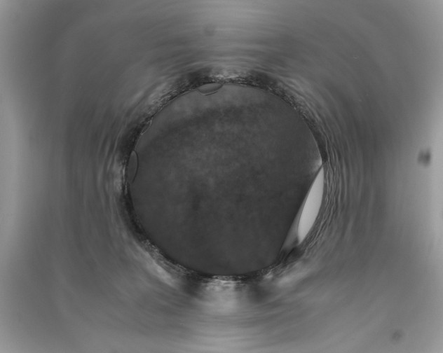 X0000090700227200708101449