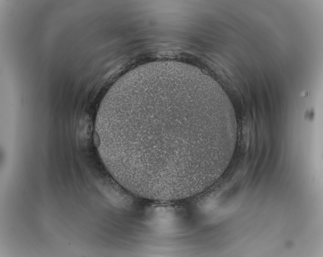 X0000090700228200708101449