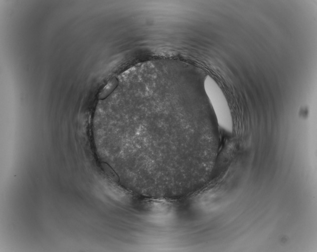 X0000090700229200708101449