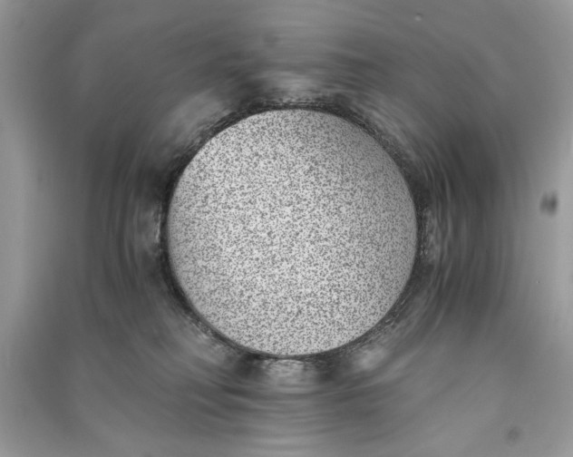 X0000090700230200708101449