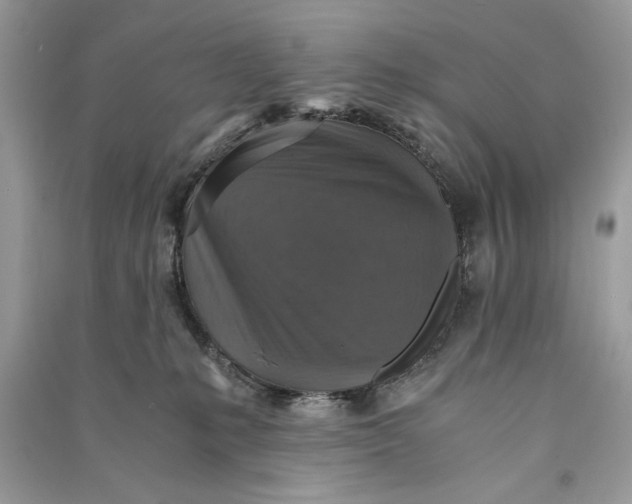 X0000090700231200708101449