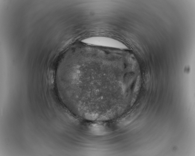 X0000090700232200708101449