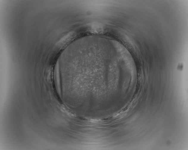 X0000090700233200708101449