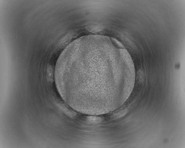 X0000090700234200708101449