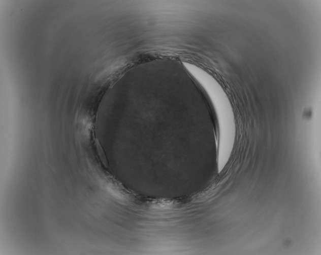 X0000090700235200708101449