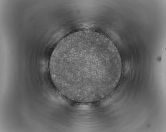 X0000090700236200708101449