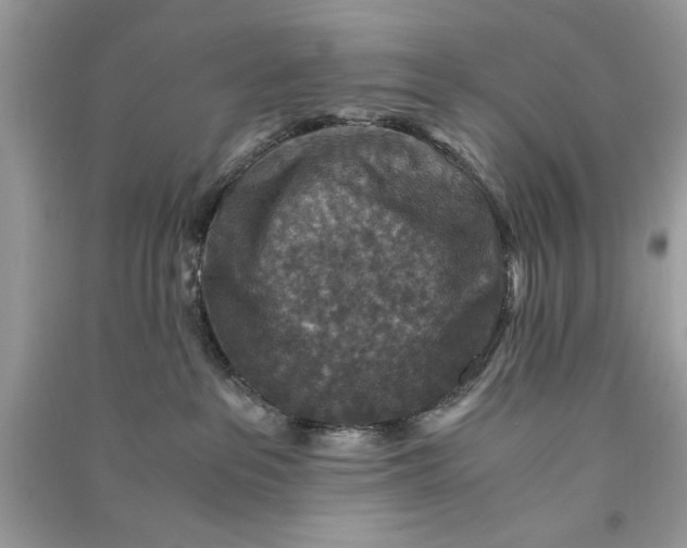 X0000090700237200708101449