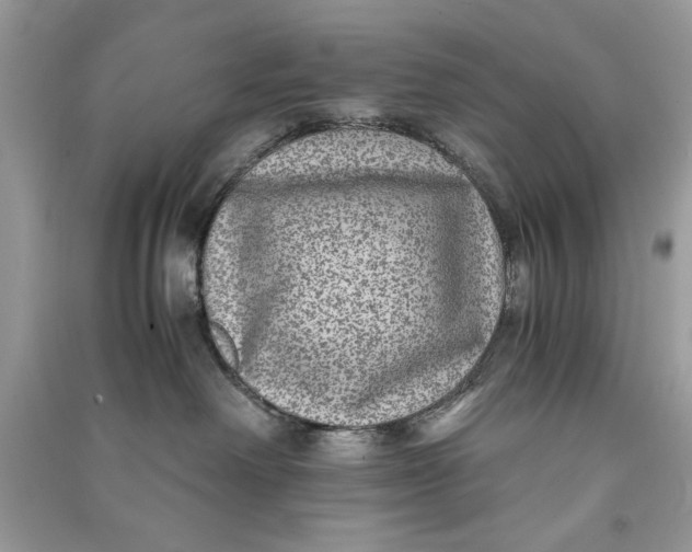 X0000090700238200708101449