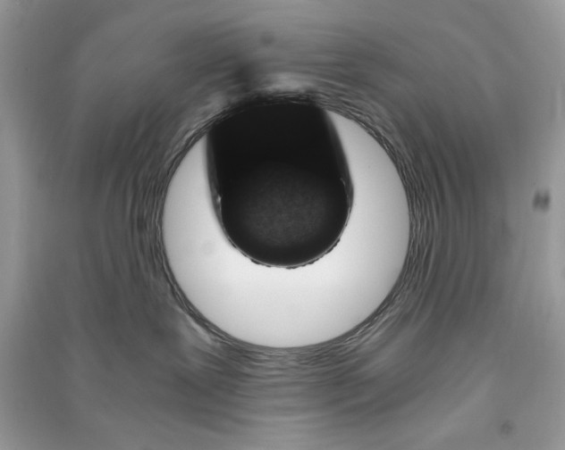 X0000090700239200708101449