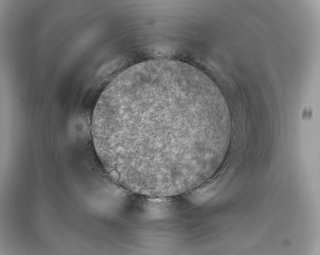 X0000090700240200708101449