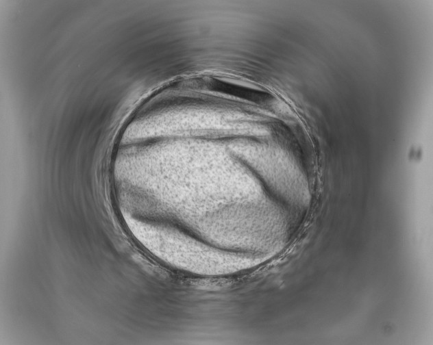 X0000090700241200708101448