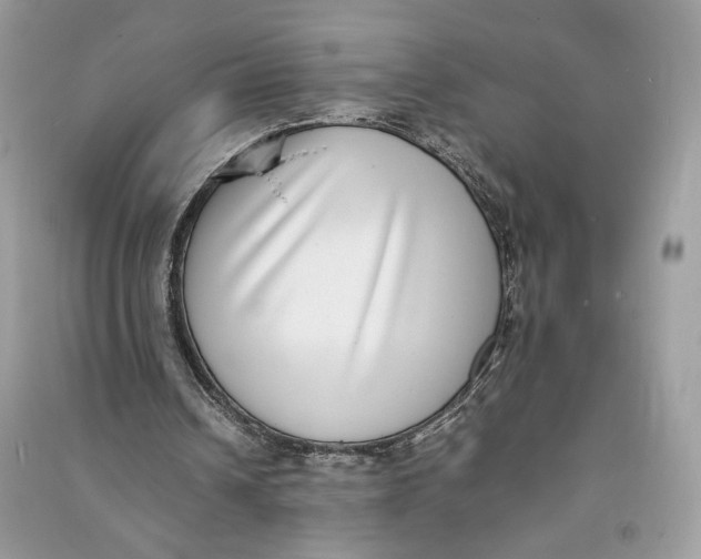 X0000090700242200708101448