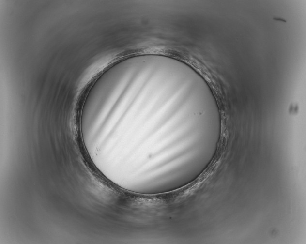 X0000090700245200708101448