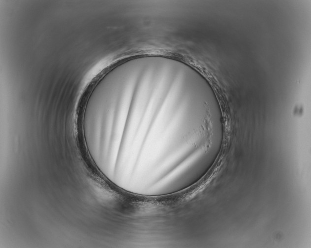X0000090700246200708101448