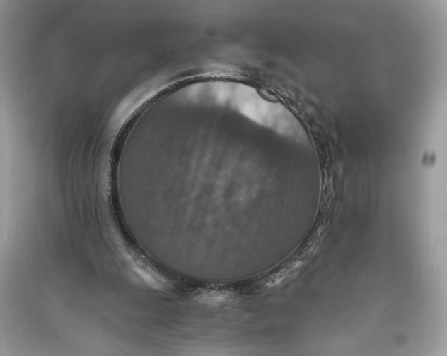 X0000090700247200708101448