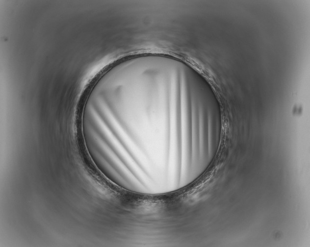 X0000090700248200708101448