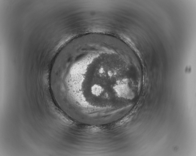 X0000090700249200708101448