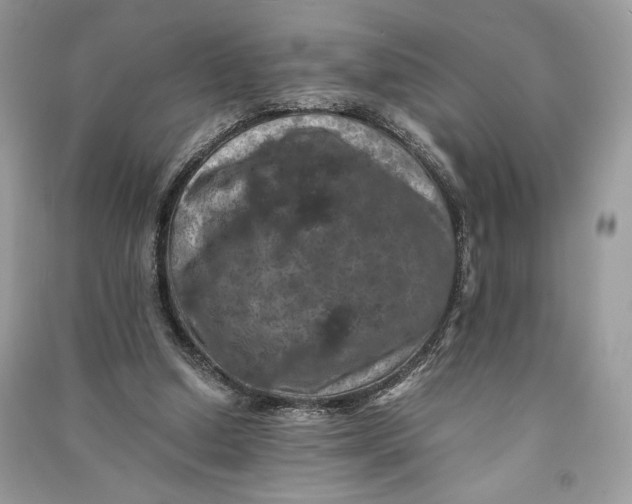 X0000090700250200708101448