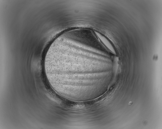 X0000090700252200708101448