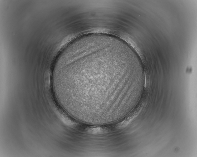 X0000090700253200708101448