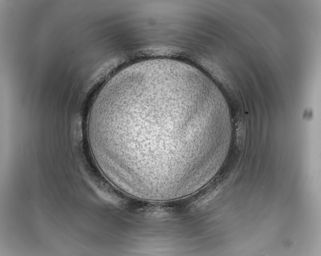 X0000090700254200708101448