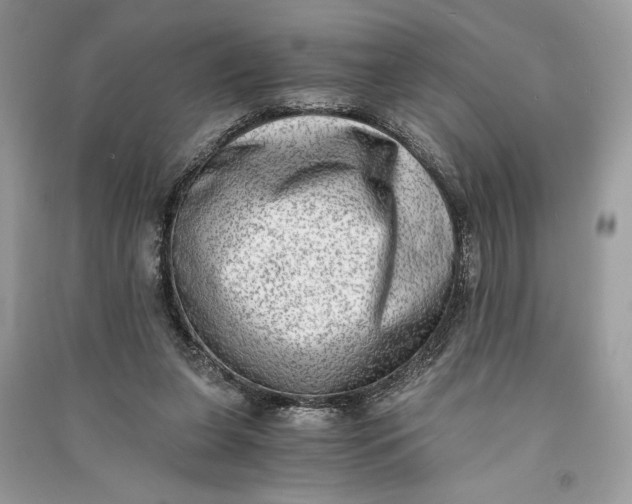 X0000090700255200708101448