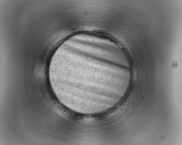 X0000090700256200708101448