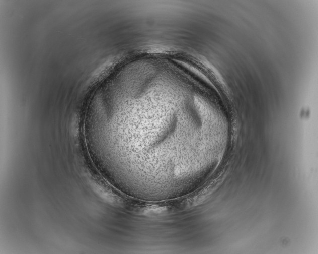 X0000090700257200708101448