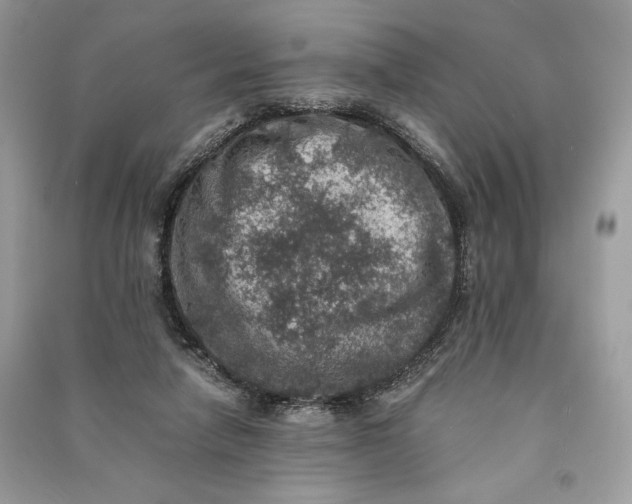 X0000090700258200708101448