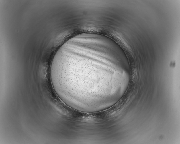 X0000090700259200708101448