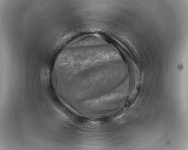 X0000090700260200708101448