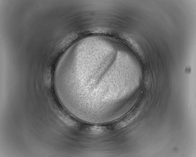 X0000090700261200708101448