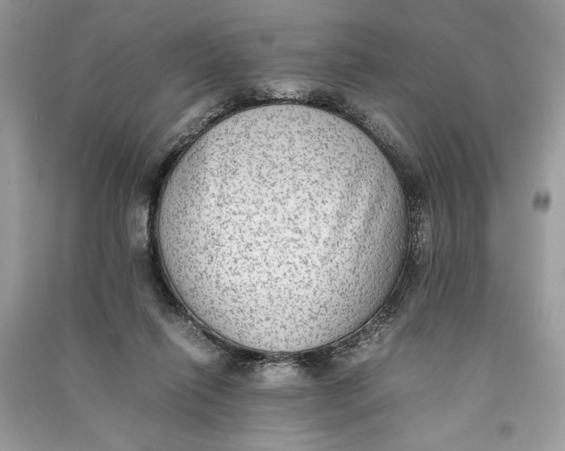 X0000090700262200708101448