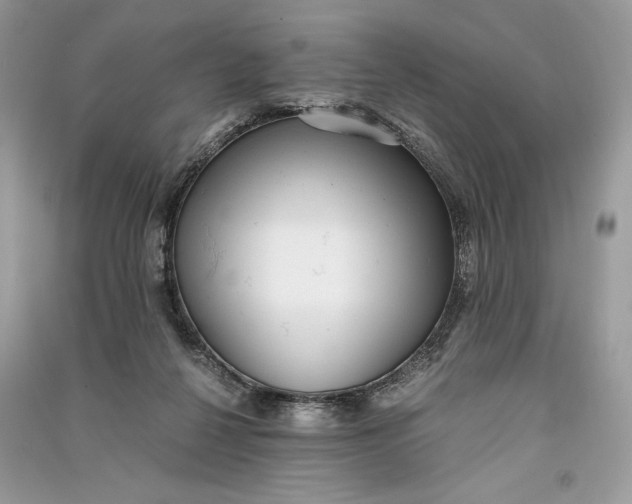 X0000090700264200708101448