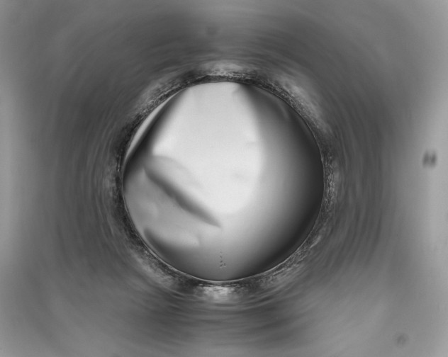 X0000090700265200708101448