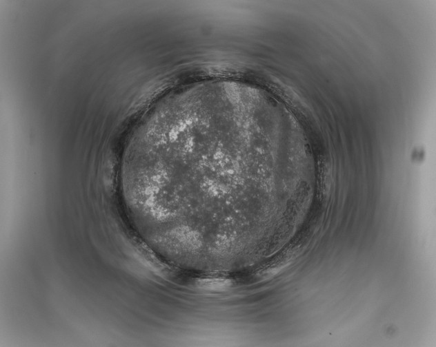 X0000090700266200708101448
