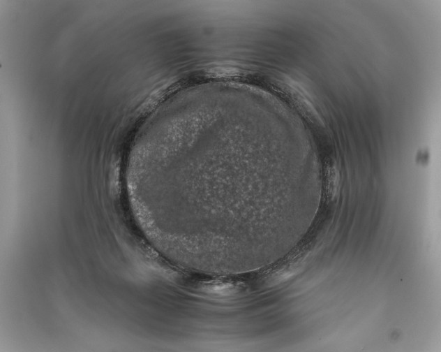 X0000090700267200708101448