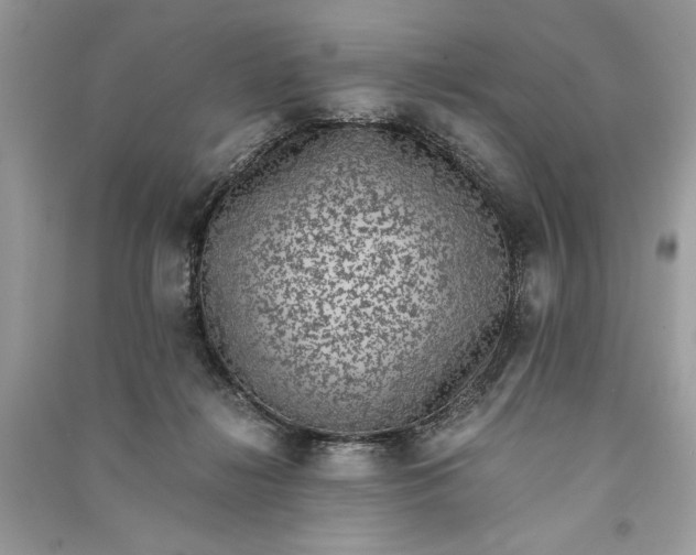 X0000090700268200708101448