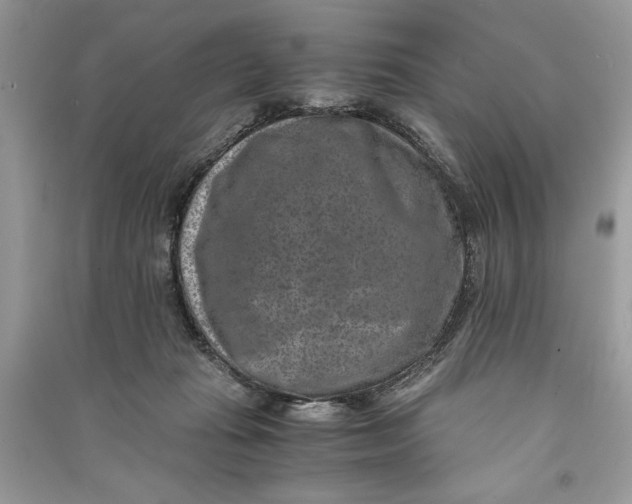 X0000090700269200708101449