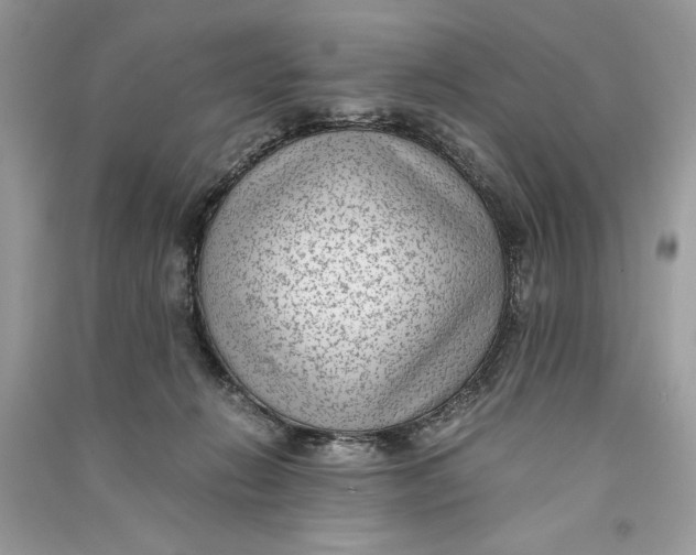X0000090700270200708101449
