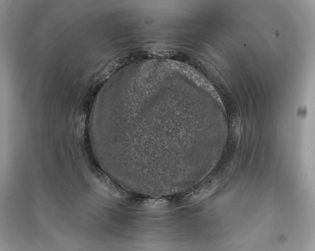 X0000090700271200708101449