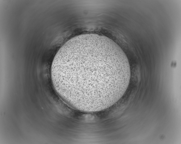 X0000090700272200708101449