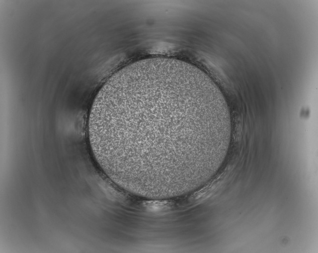 X0000090700273200708101449