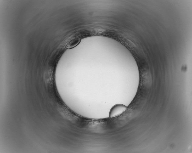 X0000090700274200708101449
