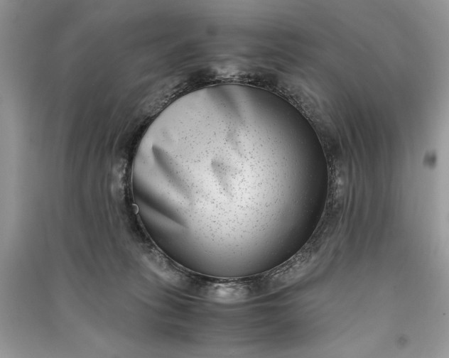 X0000090700275200708101449