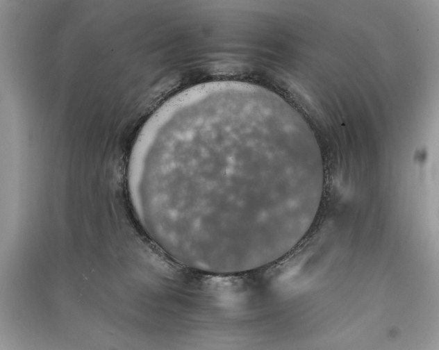 X0000090700277200708101449