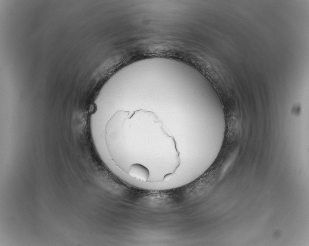 X0000090700278200708101449
